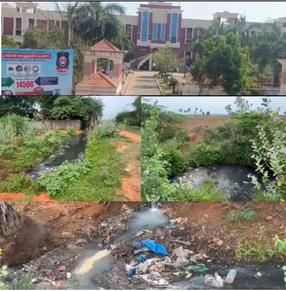 Dumb creatures dying from waste