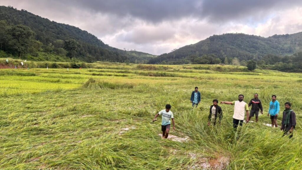 Demand for compensation for farmers 