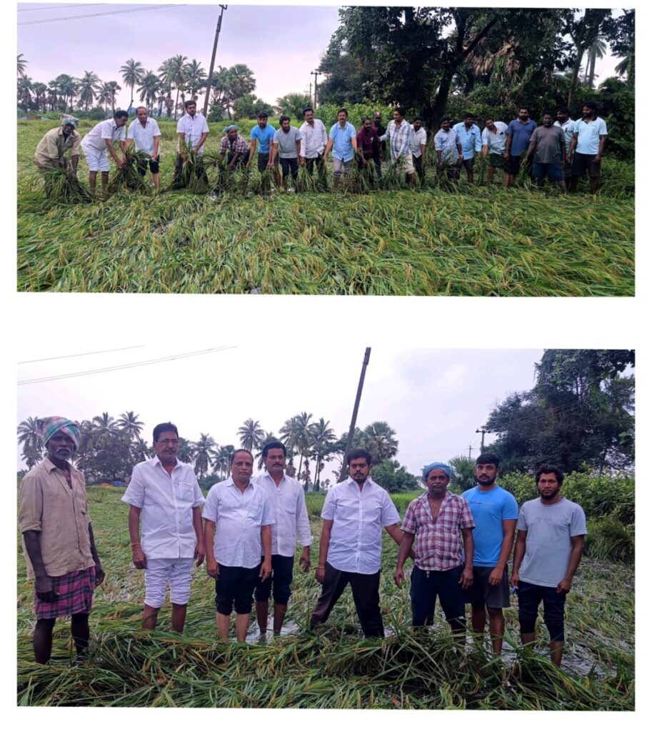 The government should help the farmers 