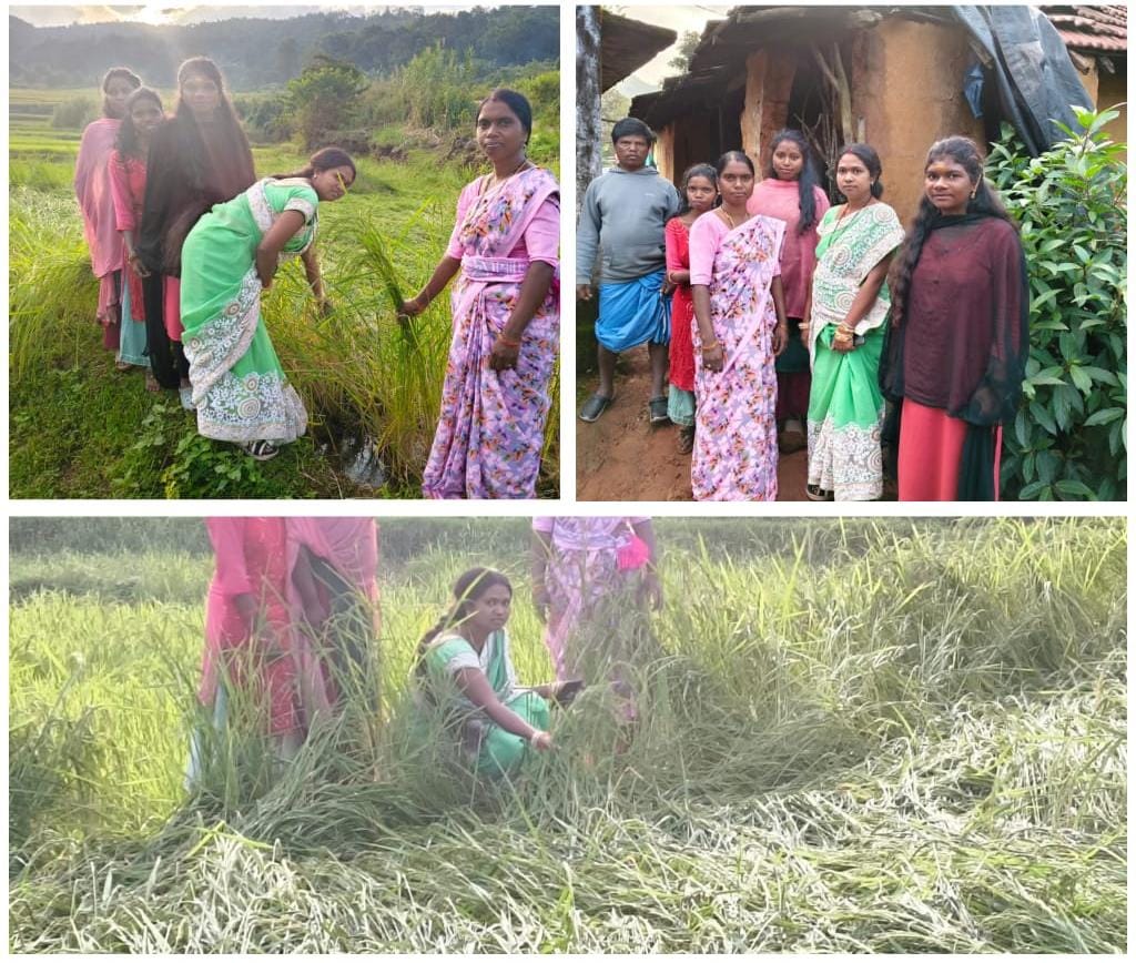 Coalition government will stand by cyclone victims