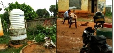 School management that does not care about dogs