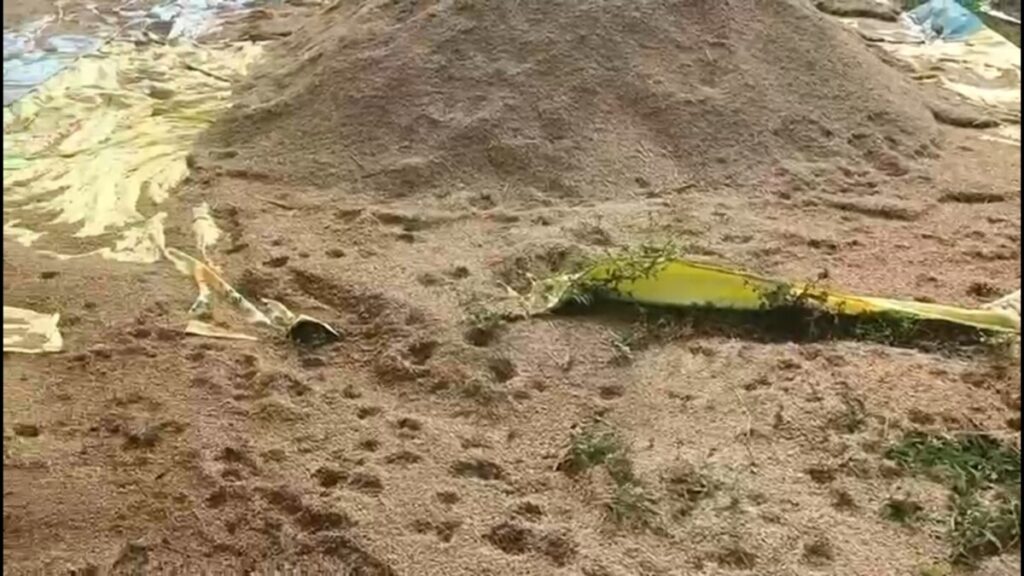 Grain washed away in floods 