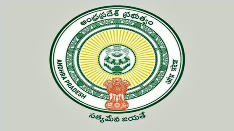 WhatsApp Image 2025-11-05 at 16.29.17