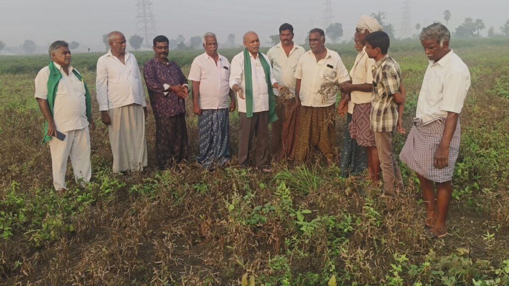 Government should help cyclone-affected farmers