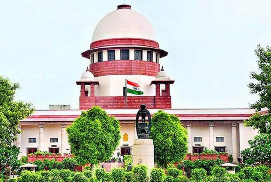Supreme Court's key orders in the stray dog ​​case