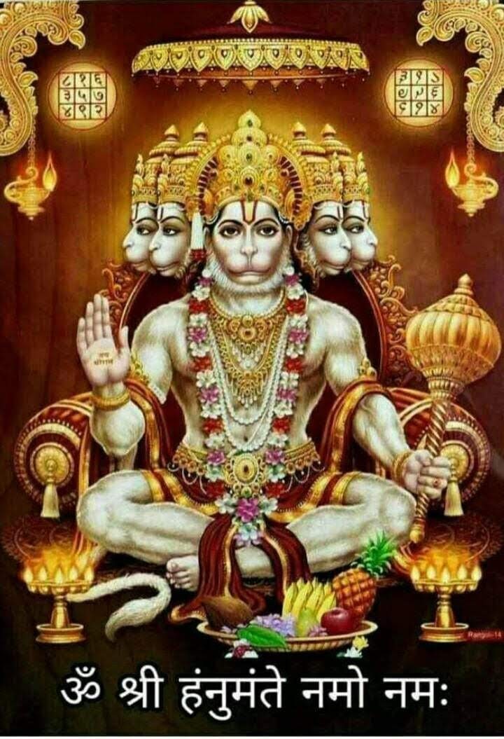 WhatsApp Image 2025-11-08 at 11.18.46 AM