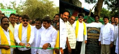 Dynamic MLAs involved in development programs