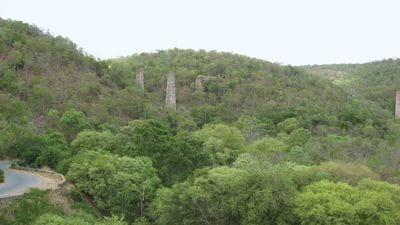 Maoists are roaming in the Erramala hill 