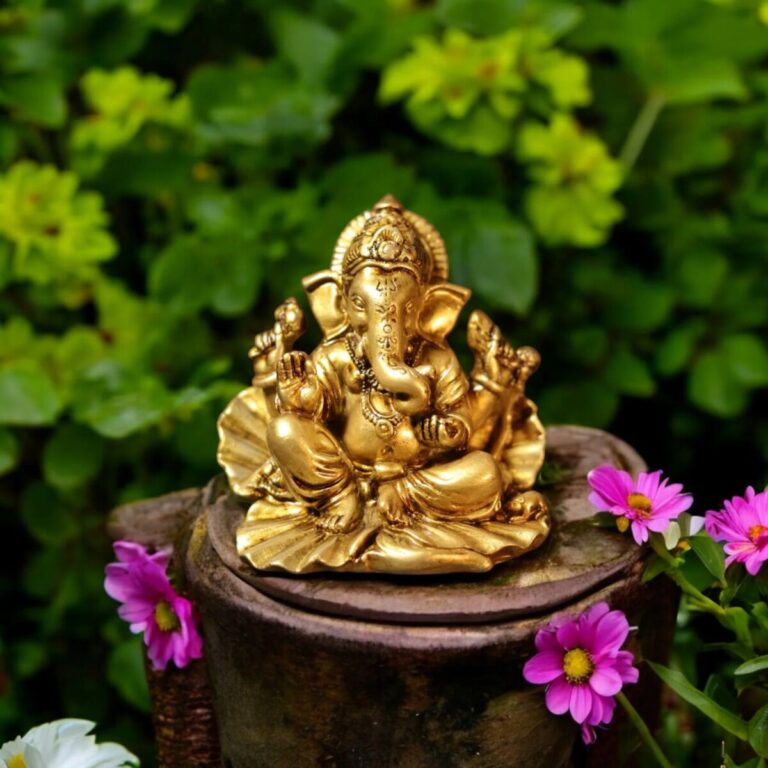 image (7)