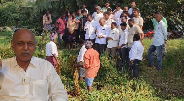 Coalition government that ignores farmers