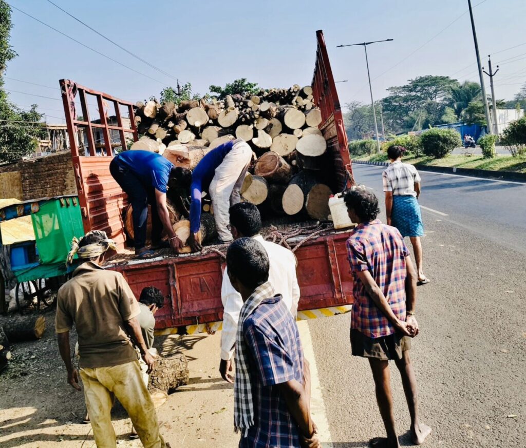 Will the trees survive... I don't agree