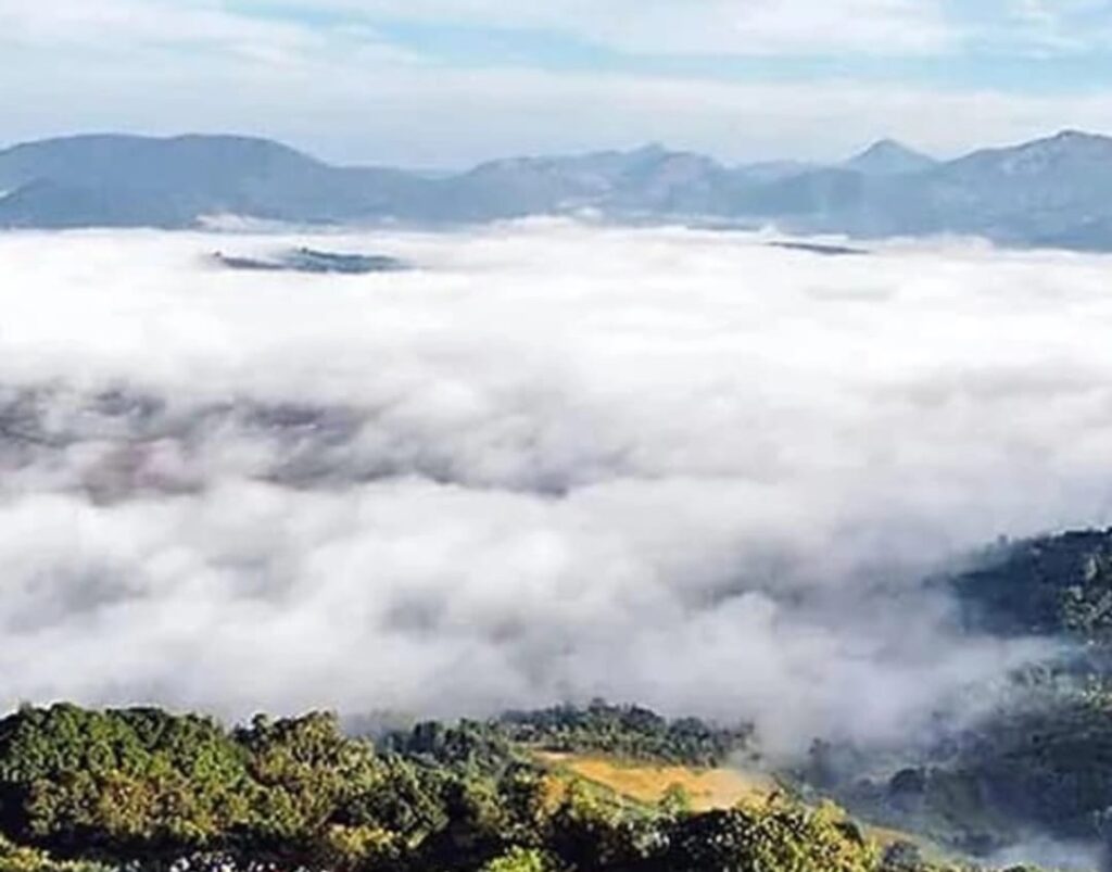 AP recorded 3.8 degree temperature