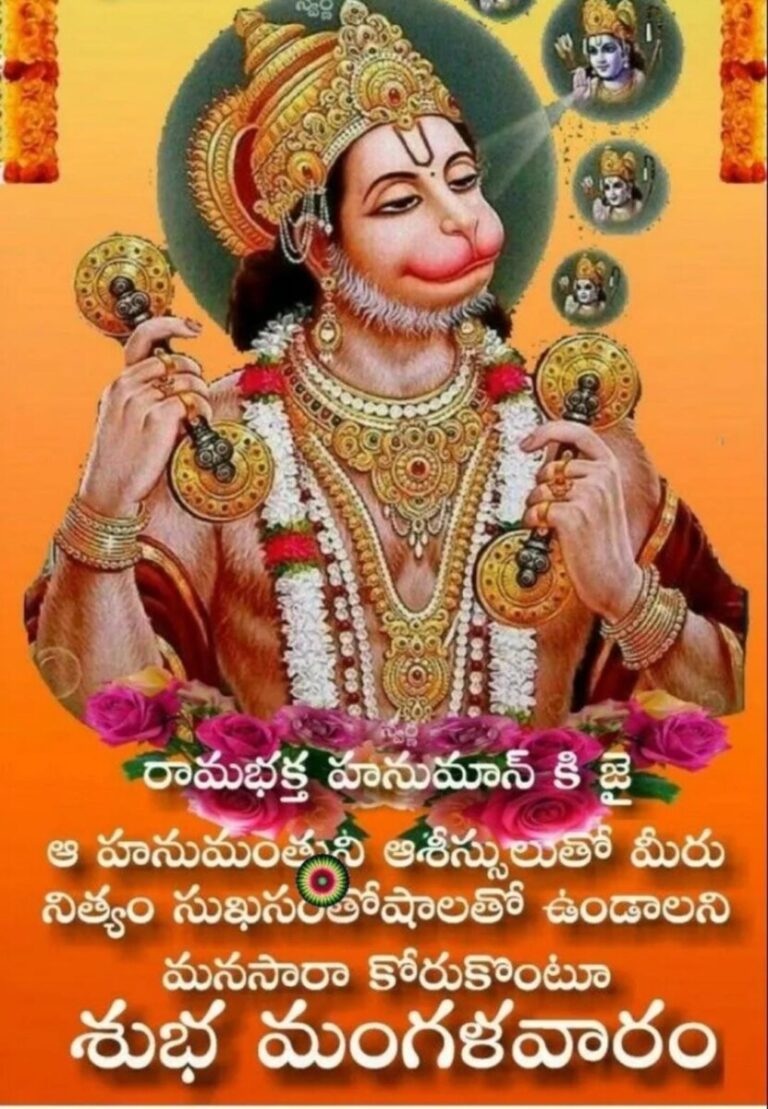 WhatsApp Image 2026-01-20 at 07.58.45