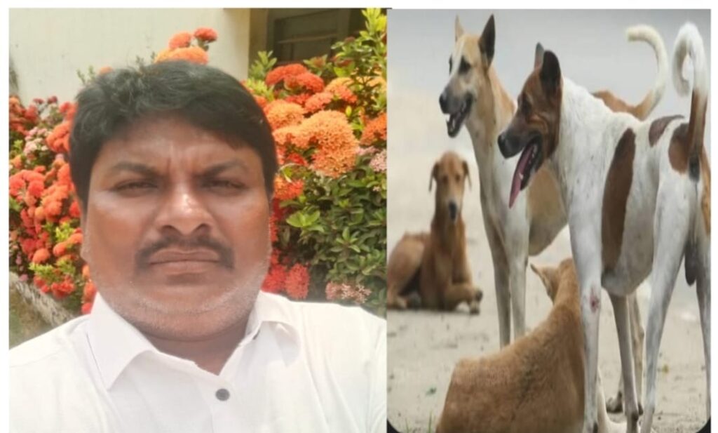 Will we see another generation of Sunukas?