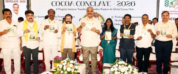 We will make it a horticulture and cocoa hub