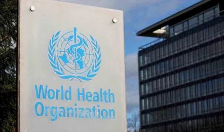 No need to worry about the Nipah virus