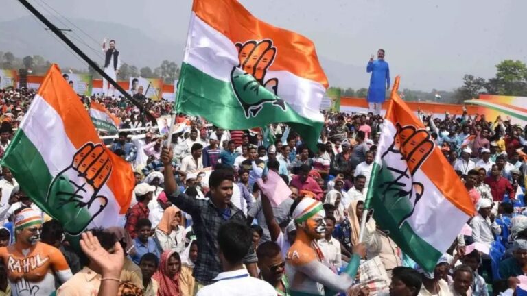 WhatsApp Image 2026-02-13 at 15.04.36
