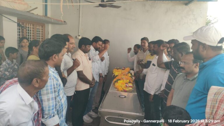 WhatsApp Image 2026-02-18 at 16.26.13