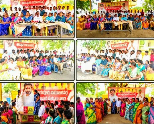 MLA Provided Explanations