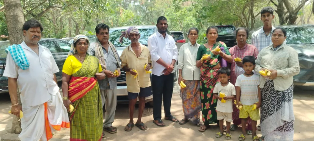Distribution of fruits 