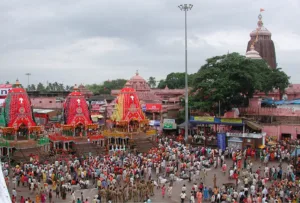image (2)