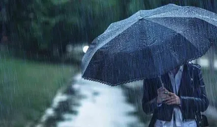 Moderate Rain Expected