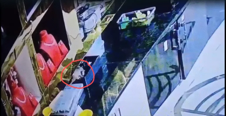 Theft Gold Shop : గోల్డ్ షాపులో చోరీ image (52)