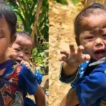 Viral-Video-1-1024x576