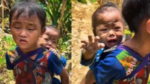 Viral-Video-1-1024x576
