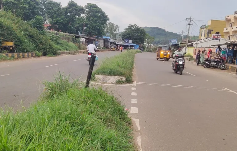 Accident Risk : డివైడర్పై పెరిగిన గడ్డి.. ప్రమాదాలకు ఆహ్వానం WhatsApp Image 2026-08-12 at 17.59.59