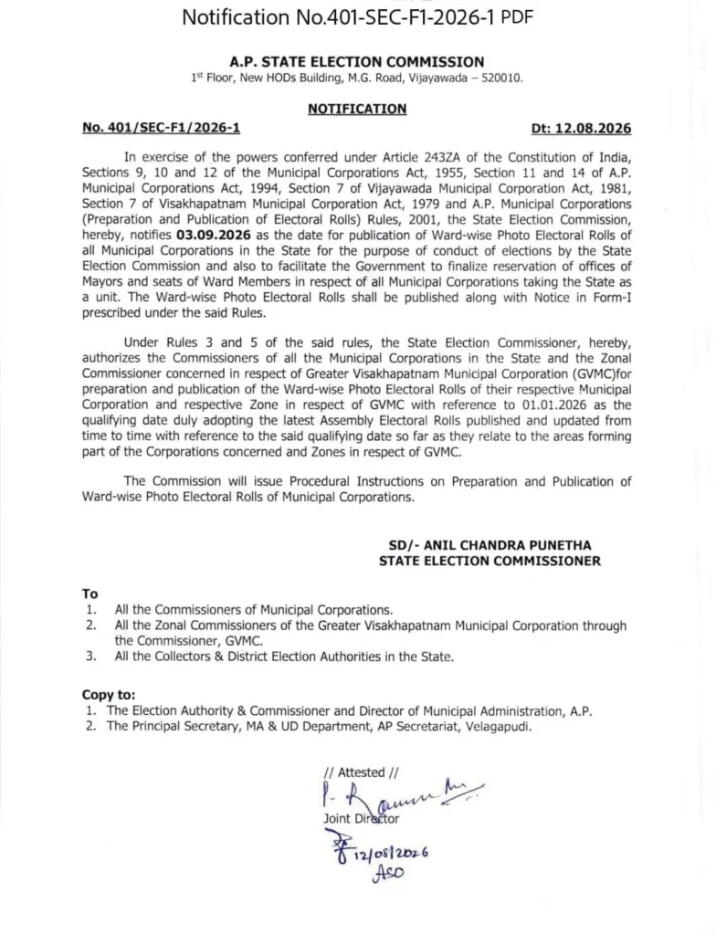 Municipal Elections AP