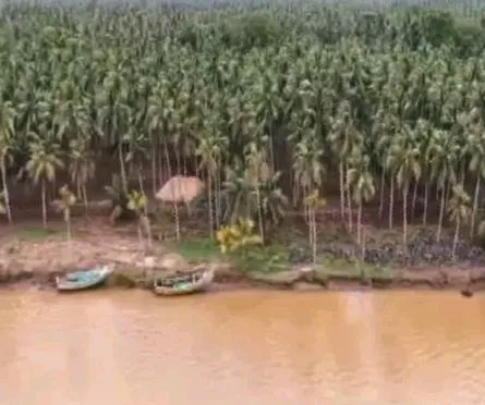 Alarming Godavari : కలవర పెడుతున్న గోదావరి కోత. Alarming Godavari