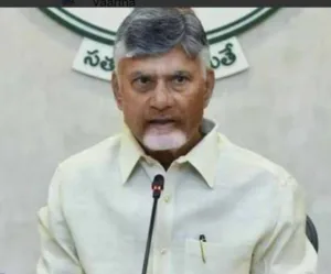 CM holds Teleconference : పార్టీ ముఖ్య నేతలతో ముఖ్యమంత్రి చంద్రబాబు నాయుడు టెలీకాన్ఫరెన్స్ WhatsApp Image 2026-10-26 at 12.37.23