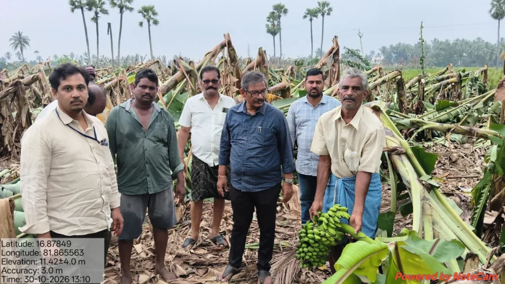 Inspection cyclone-affected